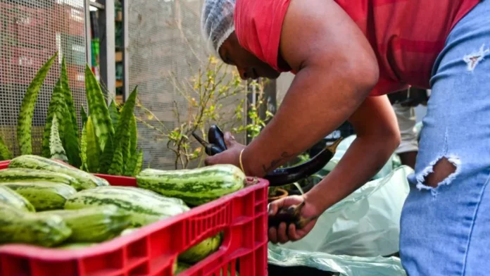 Mais de 1,5 mil municípios aderem ao Sistema Nacional de Segurança Alimentar e Nutricional