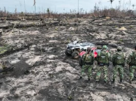 AGU cobra R$ 76 milhões de desmatadores em cinco biomas