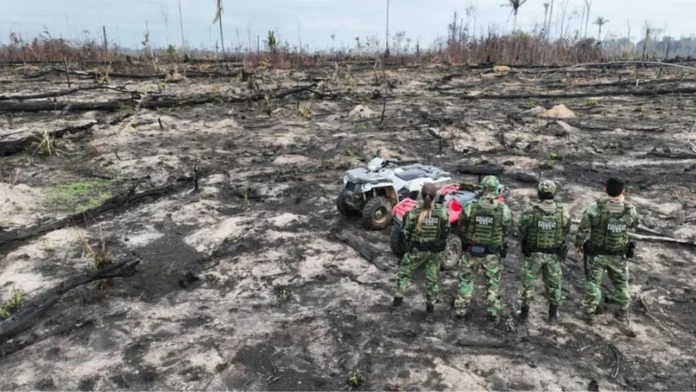 AGU cobra R$ 76 milhões de desmatadores em cinco biomas