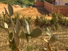 Prefeitura de Vitória da Conquista decretou situação de emergência nos 11 distritos do município