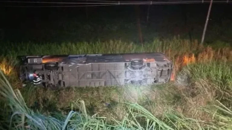 Ônibus despenca em ribanceira e causa 26 feridos e uma morte em São Paulo