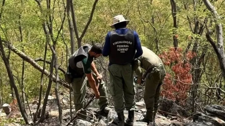 Polícia Federal combate garimpo ilegal de quartzo na Bahia