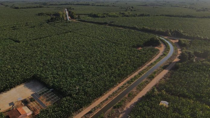 Codevasf área irrigada projeto formoso