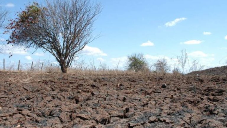 MIDR reconheceu a situação de emergência em mais três cidades baianas afetadas pela estiagem