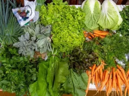 Governo Federal lançou chamada pública para fortalecimento dos Núcleos de Estudos em Agroecologia