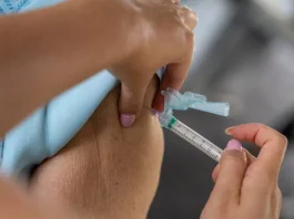 Ministério da Saúde busca incluir vacina contra Chikungunya no SUS