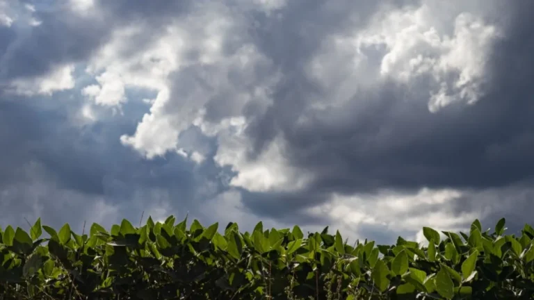 NOAA anunciou oficialmente o fim da La Niña