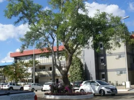 Uesb abriu seleção para professor substituto em Itapetinga e Vitória da Conquista
