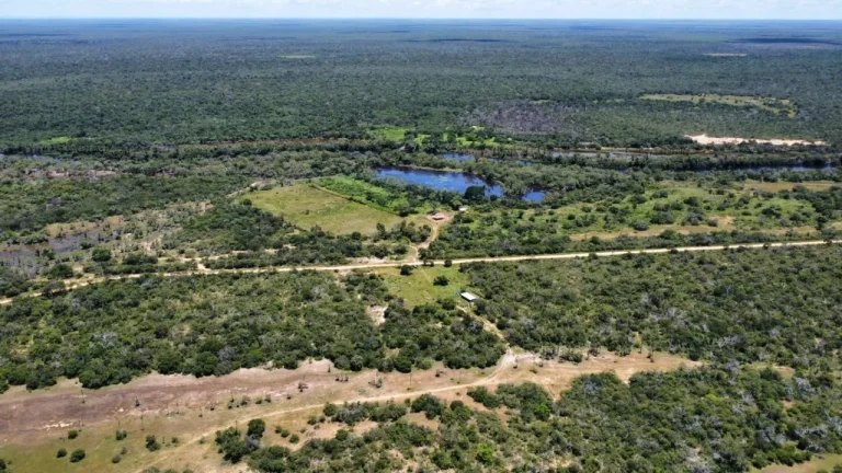 Mais uma reserva ambiental é criada na Bahia com apoio do MPBA