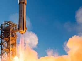 Embrapa e AEB exploram cultivo espacial de batata-doce e grão-de-bico