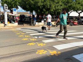 Barreiras adota faixas exclusivas para travessia de animais