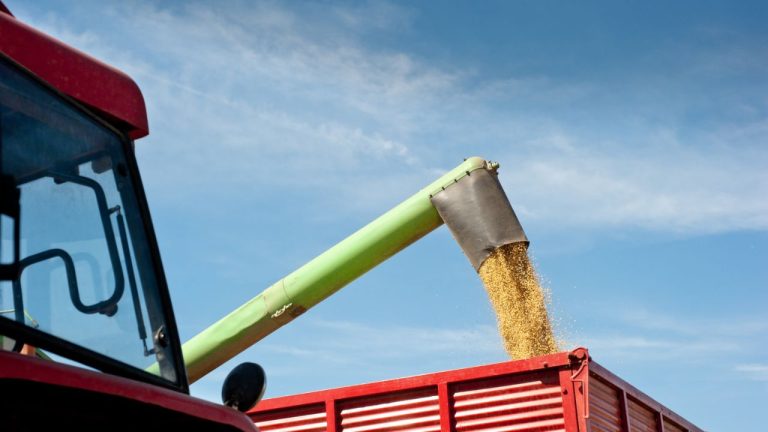 Colheita da soja na Bahia avança com crescimento significativo na produtividade