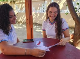 Estudantes baianas criam bala de romã com potencial terapêutico contra gripes