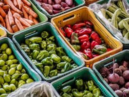 Fiocruz lança catálogo sobre alimentação saudável