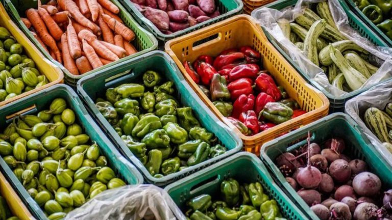Fiocruz lança catálogo sobre alimentação saudável