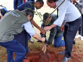 Governo destina R$ 90 milhões à preservação da Caatinga