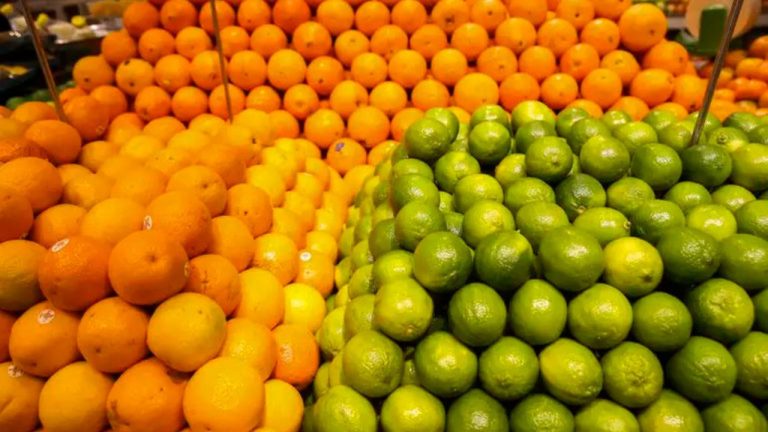 Índia abre o mercado para limão, laranja e tangerina brasileiros