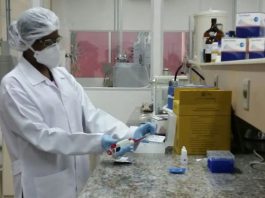 Vacina brasileira contra gripe aviária em humanos aguarda fase de testes