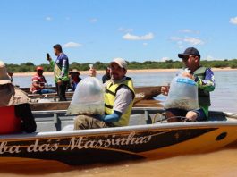 peixamento Serra do Ramalho rio São Francisco
