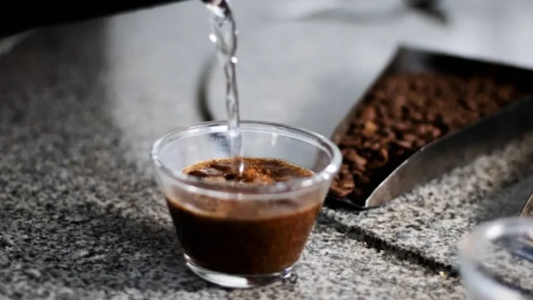 Projeto da Uesb oferta capacitação sobre produção de café