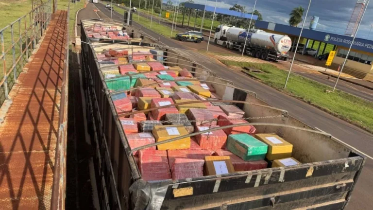 PRF apreendeu maior carga de maconha do ano no país
