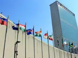 Humanidade está destruindo a biodiversidade, alerta secretário da ONU