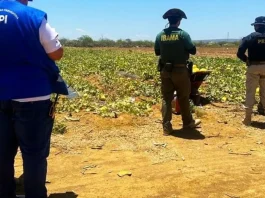FPI paralisou atividades em fazenda no oeste baiano por falta de segurança