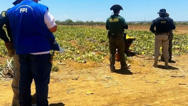 FPI paralisou atividades em fazenda no oeste baiano por falta de segurança