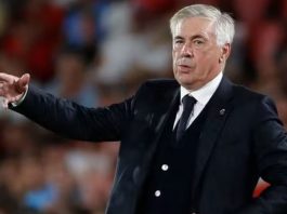 CBF anunciou Carlo Ancelotti como novo técnico da Seleção Brasileira