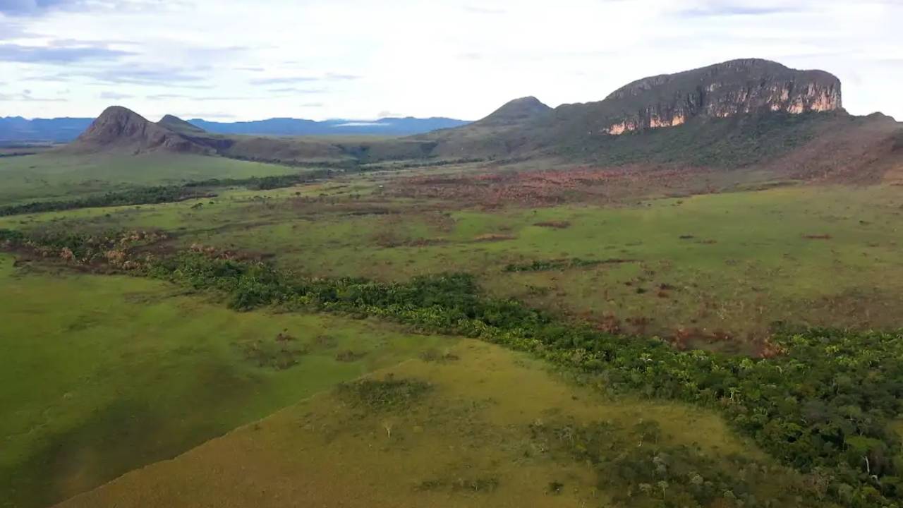 Cerrado: preservação e negócios são tema do Caminhos da Reportagem