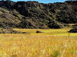 Chapada Diamantina sedia Semana da Mata Atlântica 2025 nesta semana