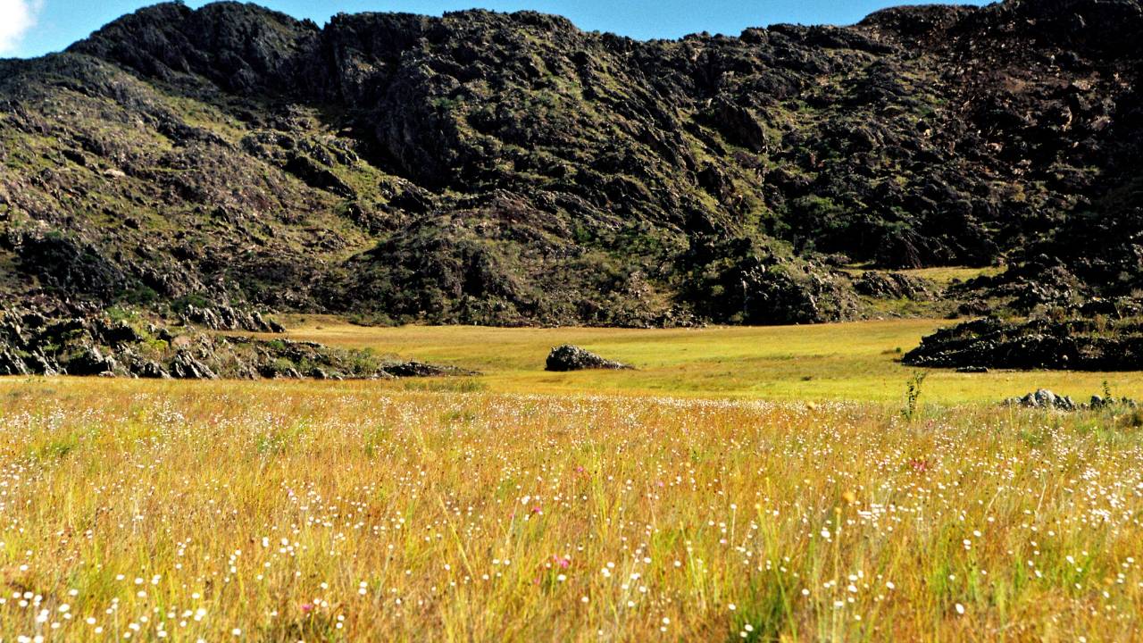 Chapada Diamantina sedia Semana da Mata Atlântica 2025 nesta semana