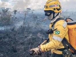 ICMBio abriu processos seletivos para contratação de 1785 brigadistas florestais