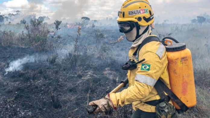 ICMBio abriu processos seletivos para contratação de 1785 brigadistas florestais