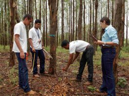 Prazo de inscrição para a 14ª Olimpíada Brasileira de Agropecuária termina no dia 15