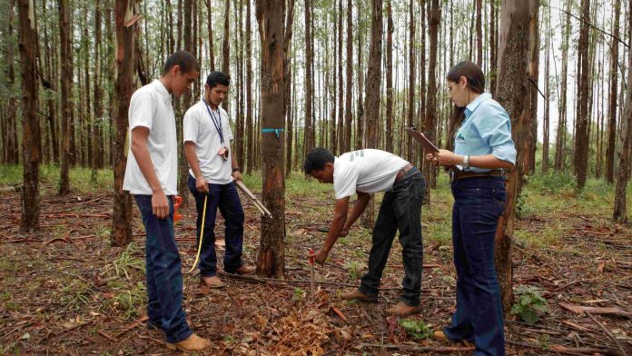 Prazo de inscrição para a 14ª Olimpíada Brasileira de Agropecuária termina no dia 15