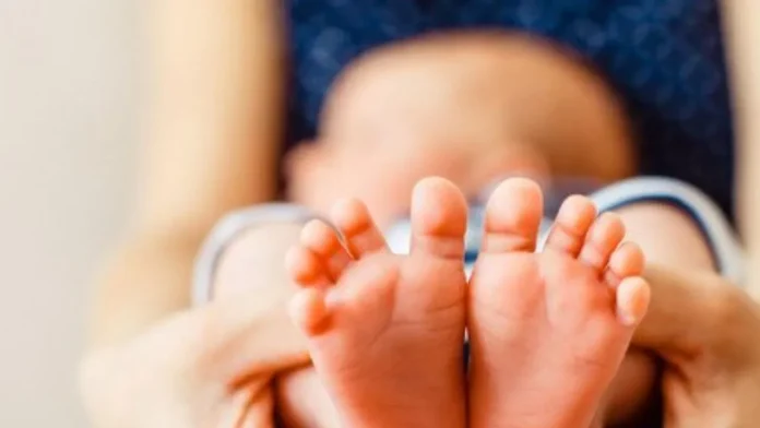 Censo 2022 revela menor número de filhos por mulher da história