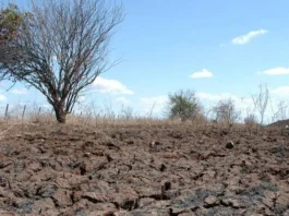 situação de emergencia estiagem seca