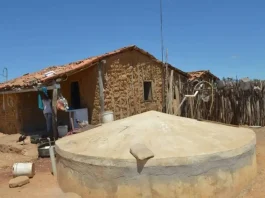 Cinco cidades da Bahia tiveram situação de emergência reconhecida a nível estadual devido à estiagem