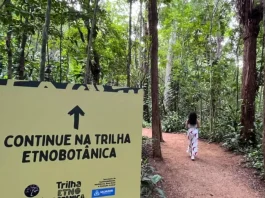 Jardim Etnobotânico com trilha e espaços temáticos ligados à herança de matriz africana foi inaugurado em Salvador