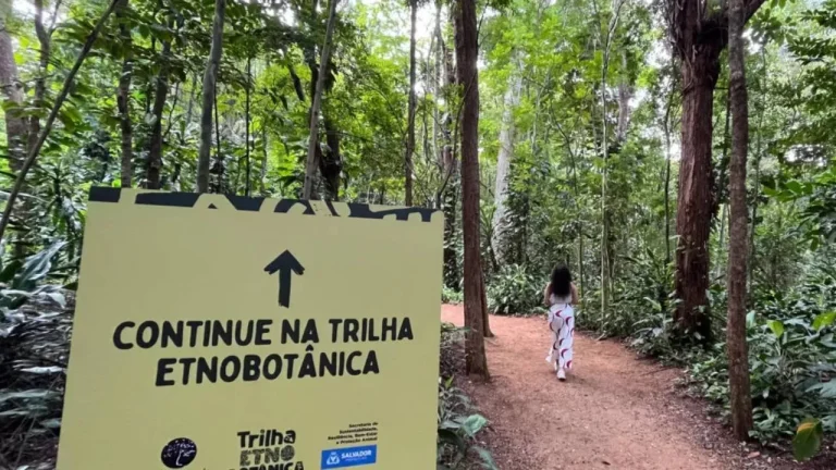Jardim Etnobotânico com trilha e espaços temáticos ligados à herança de matriz africana foi inaugurado em Salvador