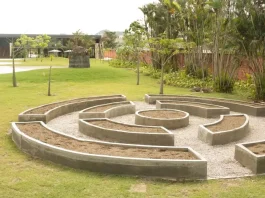 Museu do Pontal lança programação voltada à conscientização ambiental