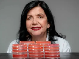 Cientista da Embrapa recebe Prêmio Mundial da Alimentação