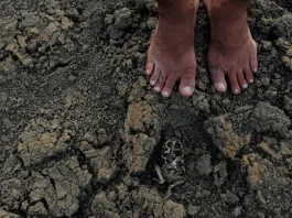 Sete cidades baianas afetadas pela estiagem obtiveram reconhecimento federal