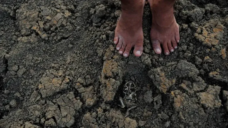 Sete cidades baianas afetadas pela estiagem obtiveram reconhecimento federal