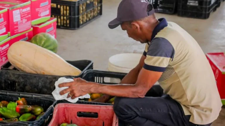 Decreto presidencial cria Rede Brasileira de Bancos de Alimentos