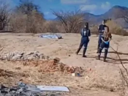 jovem morto a tiros guanambi