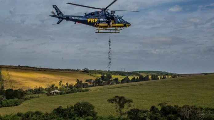 Helicóptero da PRF lança 10 toneladas de sementes para ajudar a reflorestar Mata Atlântica