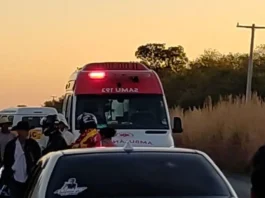 Uma pessoa morreu e outra ficou ferida em acidente envolvendo motos e cavalo solto na rodovia em Carinhanha