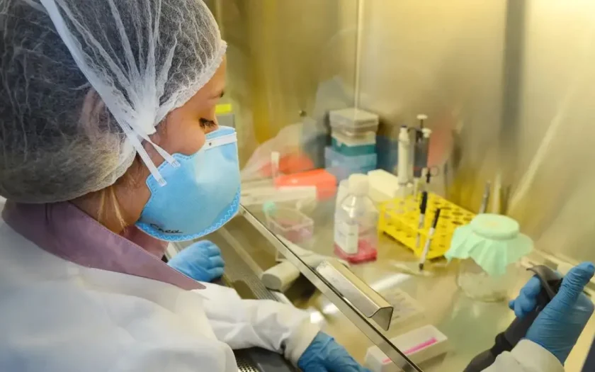 USP pesquisa de vacina contra zika avança em testes com camundongos